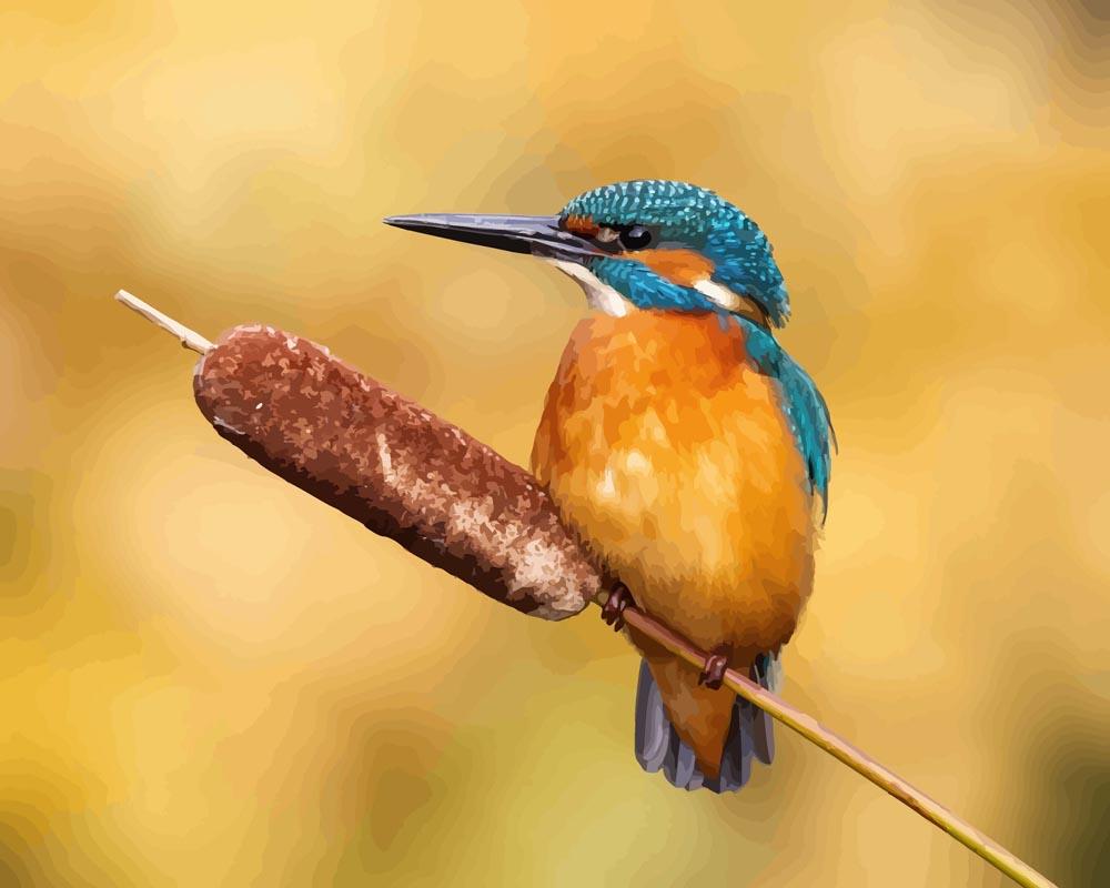 Malen nach Zahlen - Männlicher Eisvogel sitzend, mit Rahmen Malen nach Zahlen - Männlicher Eisvogel sitzend, mit Rahmen von DIY - Malen nach Zahlen