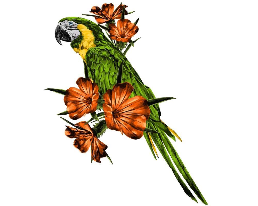 Malen nach Zahlen - Papagei auf dem Ast, ohne Rahmen von DIY - Malen nach Zahlen
