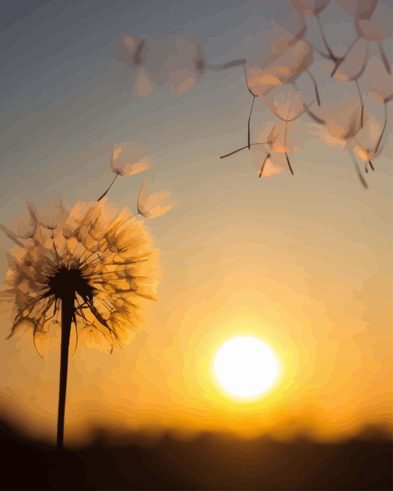 Malen nach Zahlen - Pusteblume im Sonnenuntergang, mit Rahmen von DIY - Malen nach Zahlen