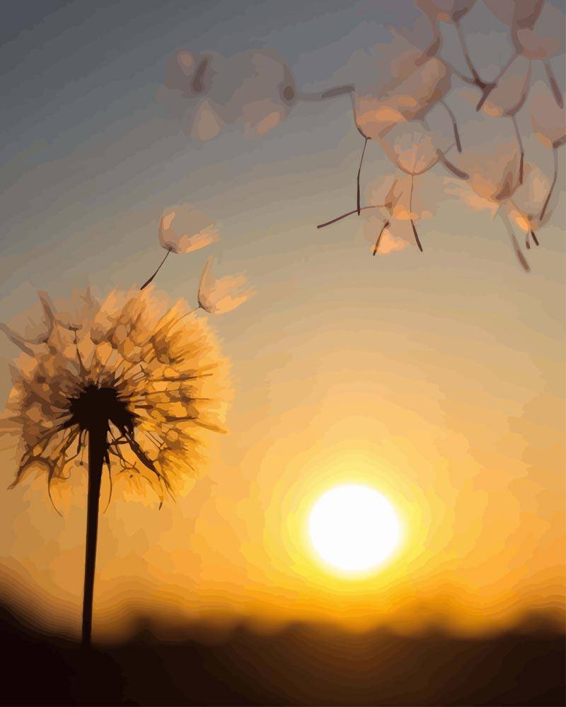 Malen nach Zahlen - Pusteblume im Sonnenuntergang, ohne Rahmen von DIY - Malen nach Zahlen