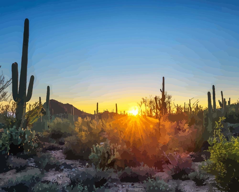 Malen nach Zahlen - Sonnenuntergang im Saguaro-Nationalpark in Arizona, ohne Rahmen von DIY - Malen nach Zahlen