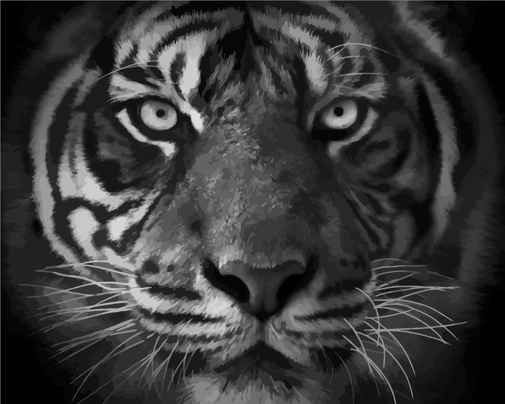 Malen nach Zahlen - Tigerportrait - Beast, mit Rahmen von DIY - Malen nach Zahlen