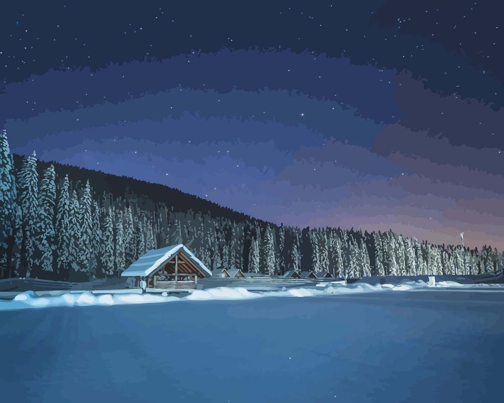 Malen nach Zahlen - Winterwald bei Nacht, ohne Rahmen von DIY - Malen nach Zahlen