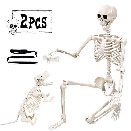 DIYDEC 165cm Halloween Bewegliches Skelett mit Hund, Ganzkörper Hunde Lebensgroßes Skelett Realistische Menschliche Skelette mit beweglichen Gelenken für Halloween Outdoor Party Dekoration von DIYDEC