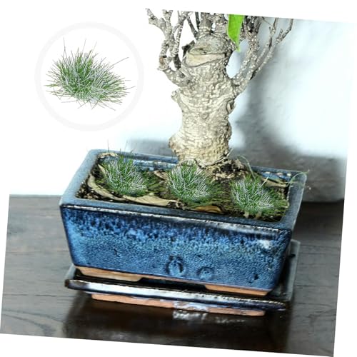 DIYEAH Künstliche Grasbüschel Modellbau Lebendige Plastik Gras Cluster für DIY Miniaturgarten Wetterbeständig Uv Beständig für Diorama Landschaftsbau und Modelleisenbahn DIYEAH Künstliche Grasbüschel Modellbau Lebendige Plastik Gras Cluster für DIY Miniaturgarten Wetterbeständig Uv Beständig für Diorama Landschaftsbau und Modelleisenbahn von DIYEAH