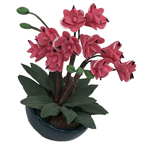DIYEAH Künstliche Mini Garten Außendekor Feengarten Dinge Gartenleuchten Solarbetrieben Sukkulenten Diorama Zubehör Kit Pflanze Rasen Miniatur Kunstgras Sprinkler Harz Rosy DIYEAH Künstliche Mini Garten Außendekor Feengarten Dinge Gartenleuchten Solarbetrieben Sukkulenten Diorama Zubehör Kit Pflanze Rasen Miniatur Kunstgras Sprinkler Harz Rosy von DIYEAH