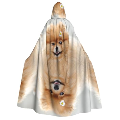 Kapuzenumhang mit Hund mit Blume, Halloween-Kostüm, Cosplay, langer Umhang, Verkleidung für Rollenspiele (150 cm) von DJnni