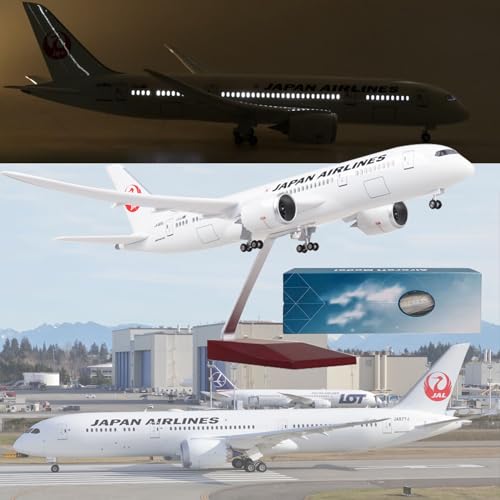 DKHOUN 16.9" 1: 130 Maßstab Modell Jet Modelle Flugzeug Japan B787 Flugzeug Modell Diecast Collectibles Harz Flugzeug Modell für Sammlung oder Geschenk,Upgraded von DKHOUN