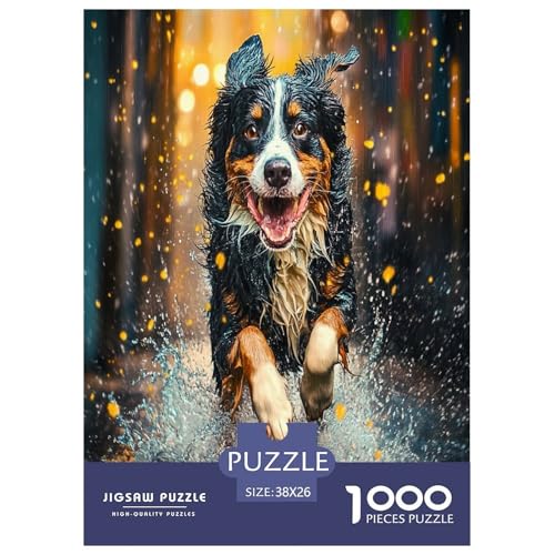 Australischer Schäfer Puzzle 1000-teilige Schwer Puzzle Spielzeug Pädagogisches Spiel Impossible Herausforderungsspielzeug Für Erwachsene Kinder 38x26cm/1000pcs von DLONIRPEX