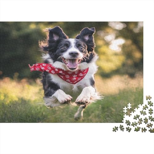 Border Collie Puzzle 1000 Teile-Puzzle Für Erwachsene,Erwachsenen Spiel Puzzlespiel Puzzel 1000pcs (75x50cm) von DLONIRPEX