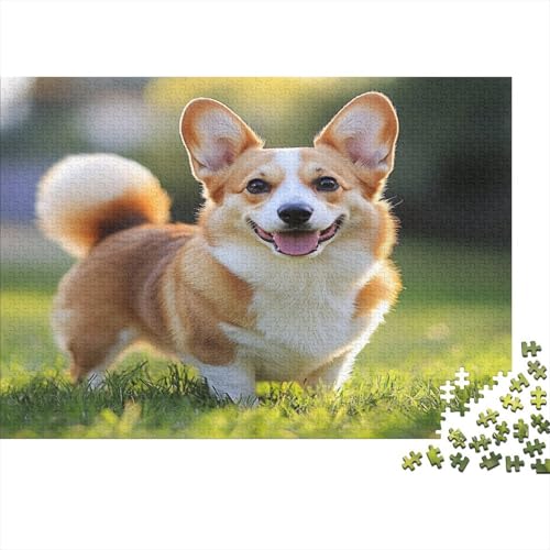 Corgi Puzzle 1000 Teile,Puzzlespiel Für Erwachsene Geschicklichkeitsspiel Für Die Ganze Familie, Geschenke Für Männer/Frauen Erwachsenen Puzzel 1000pcs (75x50cm) von DLONIRPEX