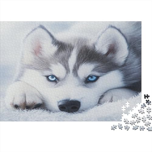 Sibirischer Husky Puzzle 1000 Teile, Erwachsene Klassische Geschicklichkeitsspiel Für Die Ganze Familie Erwachsenen Puzzle Ab 14 Jahren 1000pcs (75x50cm) von DLONIRPEX