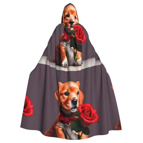 DLXW Herren Damen Umhang Halloween Kapuzenumhang Königin Robe Kostüm Renaissance Mittelalter Kostüm Gentleman-ähnlicher Hund DLXW Herren Damen Umhang Halloween Kapuzenumhang Königin Robe Kostüm Renaissance Mittelalter Kostüm Gentleman-ähnlicher Hund von DLXW