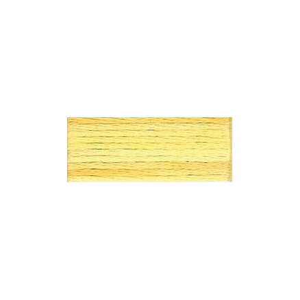DMC Mouliné Color Variations Stickgarn 4075 Wheat Fields von DMC