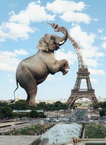 1000 Stücks Puzzles,elephantss Animal Abstrakte Kunst Plakat,Lernspielzeug Für Kinder,Gedächtnis Kognitions Spiel Xw26Qk von DMQBT