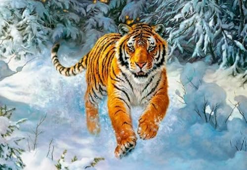 1000 Teile Puzzles - Für Erwachsene Personalisierte Herausforderung Spielzeug - Personalisiertes Puzzle-Spielzeug Für Kinder Und Erwachsene - Tigerss Landscape Animal Bilder Dw157Sk von DMQBT
