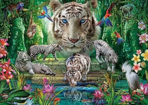 1000 Teile Puzzles - Für Erwachsene Personalisierte Herausforderung Spielzeug - Personalisiertes Puzzle-Spielzeug Für Kinder Und Erwachsene - Tigerss Landscape Animal Bilder Dw160Sk von DMQBT