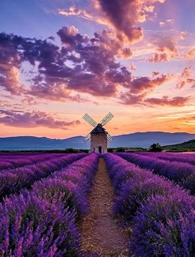 Buntes Unregelmäßiges Puzzle Für Erwachsene Familie Stress Relief Puzzle Spielzeug ,Lavenders Plants Flowers Manors Scenery ,Puzzle 1000 Teile ,Ältere Menschen Gedächtnis Kognition Games Dw179Sk Buntes Unregelmäßiges Puzzle Für Erwachsene Familie Stress Relief Puzzle Spielzeug ,Lavenders Plants Flowers Manors Scenery ,Puzzle 1000 Teile ,Ältere Menschen Gedächtnis Kognition Games Dw179Sk von DMQBT