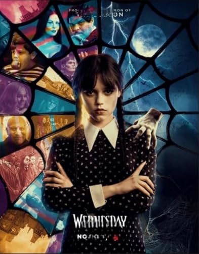 Buntes Unregelmäßiges Puzzle - Wednesdays Movie Plakat - Puzzles 1000 Teile - Erwachsene Personalisierte Herausforderung Spielzeug Dw624Sk von DMQBT