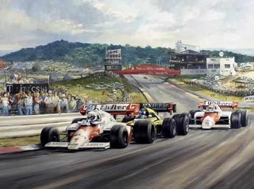 DMQBT 1000 Stück - Buntes Unregelmäßiges Puzzle - F1 Racings Art Bilder - Personalisiertes Puzzle Spielzeug Für Erwachsene - DX148ZW von DMQBT