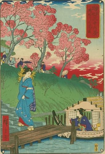 DMQBT 1000 Stück Puzzle - Buntes Puzzle - Japanese Ukiyoes Art Painting - Personalisiertes Herausforderungs Spielzeug Für Erwachsene - Lernspielzeug Für Kinder - DX470ZW von DMQBT