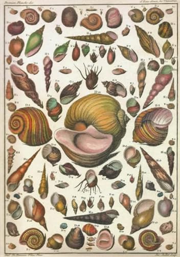 DMQBT 1000 Teile Puzzle - Schwieriges Puzzle - Shells Retro Poster - Stressabbau Spiel Für Erwachsene Kunst Bild - Wand Kunst Dekoration - DX31ZW DMQBT 1000 Teile Puzzle - Schwieriges Puzzle - Shells Retro Poster - Stressabbau Spiel Für Erwachsene Kunst Bild - Wand Kunst Dekoration - DX31ZW von DMQBT