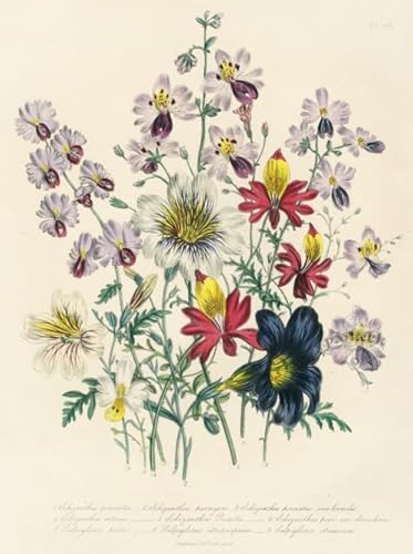 DMQBT 1500 Stück ，Bunt Puzzles ，Bilder ，Gifts ，Vintage Flowers Illustrations ，Spiele Zur Stressreduzierung Für Die Ganze Familie ，Wand Kunst Dekoration - Xt84Zp von DMQBT