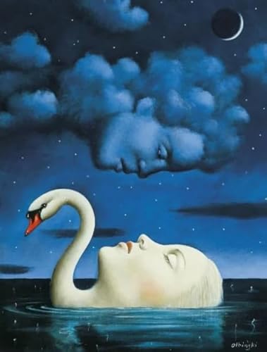 DMQBT Buntes Unregelmäßiges Puzzle ，1000 Stück ，Rafals Olbinski Oil Painting ，Personalisiertes Herausforderungs Spielzeug Für Erwachsene ，Familienspaß Herausforderungs Spielzeug - DX117ZW von DMQBT