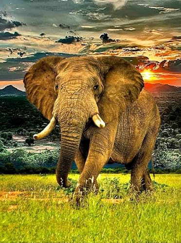 DMQBT Buntes Unregelmäßiges Puzzle - Schwieriges Puzzle - 1000 Stück - elephantss Art Bilder Poster - Personalisiertes Herausforderungs Spielzeug Für Erwachsene - DX180ZW DMQBT Buntes Unregelmäßiges Puzzle - Schwieriges Puzzle - 1000 Stück - elephantss Art Bilder Poster - Personalisiertes Herausforderungs Spielzeug Für Erwachsene - DX180ZW von DMQBT