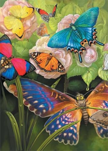 Puzzle 1000 Stück, Art Butterflys Plakat, Spiele Zum Stressabbau In Der Familie, Erwachsene Challenge Game,Elderly Gedächtnis Kognitions Spiels Xw420Qk von DMQBT