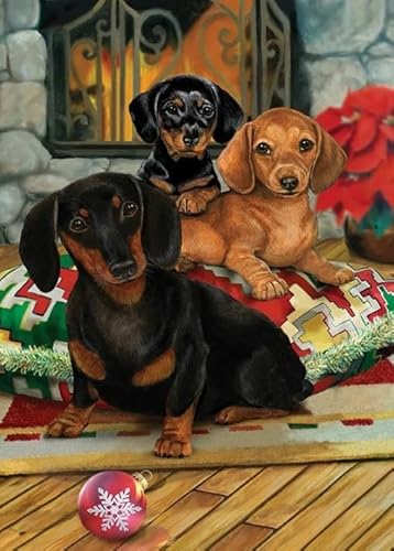 Puzzle 1000 Stück - Animal Dachshunds Dog Art Paintings - Elderly Gedächtnis Kognitions Spiels - Spiele Zum Stressabbau In Der Familie - Wand Kunst Dekoration Xw349Qk Puzzle 1000 Stück - Animal Dachshunds Dog Art Paintings - Elderly Gedächtnis Kognitions Spiels - Spiele Zum Stressabbau In Der Familie - Wand Kunst Dekoration Xw349Qk von DMQBT