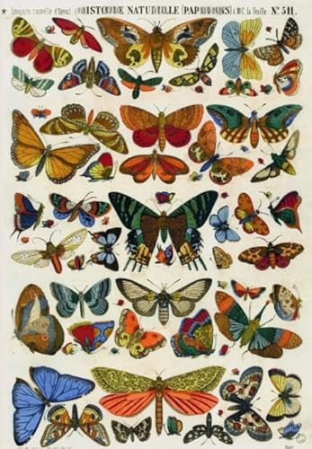 Puzzle 1000 Stücks,Butterflys Buntes Retro Plakats,Kinderspielzeug Lernspiele,Home Decoration,Erwachsene Challenge Game Xw280Qk von DMQBT