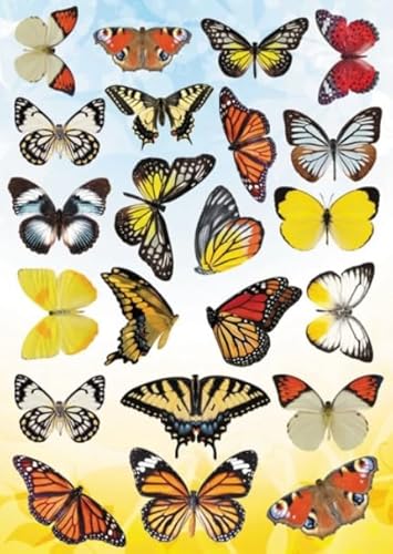 Puzzle 1000 Stücks,Butterflys Buntes Retro Plakats,Kinderspielzeug Lernspiele,Home Decoration,Erwachsene Challenge Game Xw282Qk von DMQBT