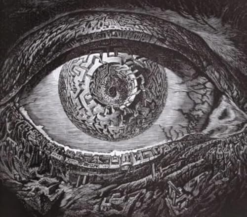 Puzzle 1000 Teile - Eyess Abstrakte Kunst Paintings - Für Erwachsene Personalisierte Herausforderung Spielzeug - Heim-Dekoration - Erwachsene Personalisierte Herausforderung Spielzeug Dw301Sk von DMQBT