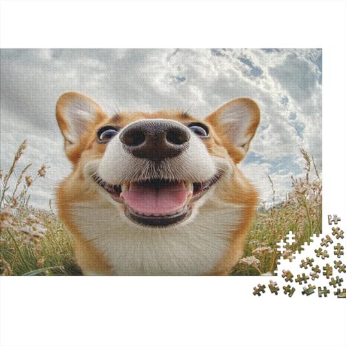 Corgi Puzzle 1000 Teile Erwachsener Kniffel Spaß Für Die Ganze Familie - Abwechslungsreiche 1000 Puzzleteilige Motive Puzzlespiel Erwachsene, Puzzel 1000pcs (75x50cm) von DNAVSOETR