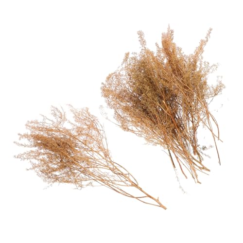 DOITOOL 1 Schachtel Dorniges Quinoa -modellmaterial Sandtisch Realistisches Gras Landschaftsmodell Gras Zuglandschaft Gras Landschaft DIY Gras Sandtisch DIY Modell Miniatur-szenengras Holz von DOITOOL