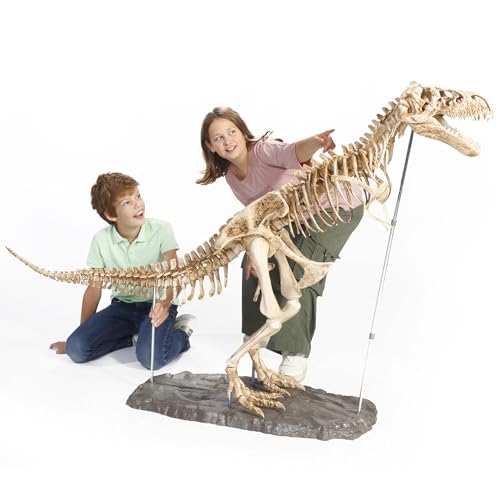 DOKTOR FUN - MEGA T-Rex - Das Skelett eines T-Rex-Dinosauriers - Realistisches Modell - Mit Einer Abmessung von 120 × 180 cm - 60 Teile - Museum zu Hause - Für Jede Altersgruppe DOKTOR FUN - MEGA T-Rex - Das Skelett eines T-Rex-Dinosauriers - Realistisches Modell - Mit Einer Abmessung von 120 × 180 cm - 60 Teile - Museum zu Hause - Für Jede Altersgruppe von DOKTOR FUN