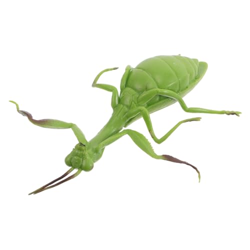 DONFAMDS Für Mädchen Pädagogisches Insekten Spielzeug Squeeze-Figur Für Lernspiel Und Kreative Tischdeko Tierfigur Für Zuhause Und von DONFAMDS