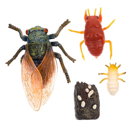 DONFAMDS Realistisches Modell der Zikadenwachstumszyklus für Naturwissenschaftliches Lernspielzeug Kreativität und Neugierde Vielseitig als Dekoration und Pädagogisches Hilfsmittel von DONFAMDS