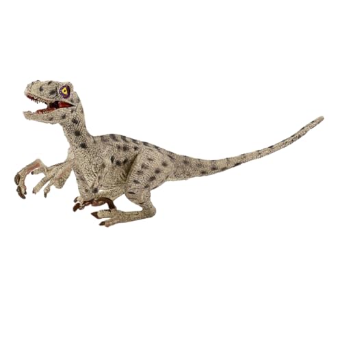 DONFAMDS Simulations Velociraptor Für Kleinkinder Dinosaurierfigur Aus Kunststoff Lebensechte Dinosaurierfigur Künstliches Dinosauriermodell Kognitives Dinosauriermodell Simulations DONFAMDS Simulations Velociraptor Für Kleinkinder Dinosaurierfigur Aus Kunststoff Lebensechte Dinosaurierfigur Künstliches Dinosauriermodell Kognitives Dinosauriermodell Simulations von DONFAMDS