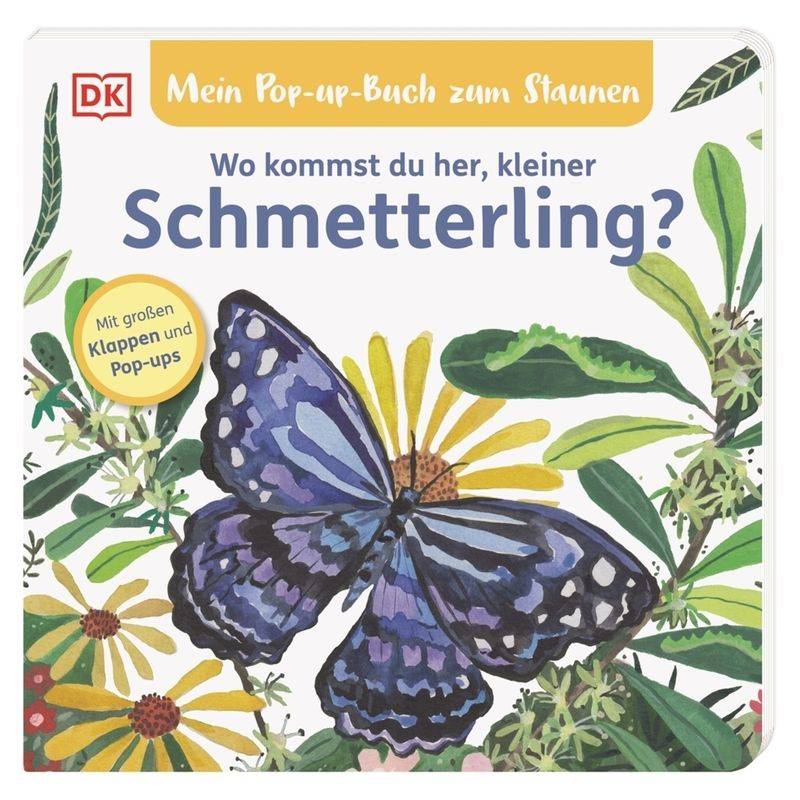 Mein Pop-up-Buch zum Staunen. Wo kommst du her, kleiner Schmetterling? von Dorling Kindersley