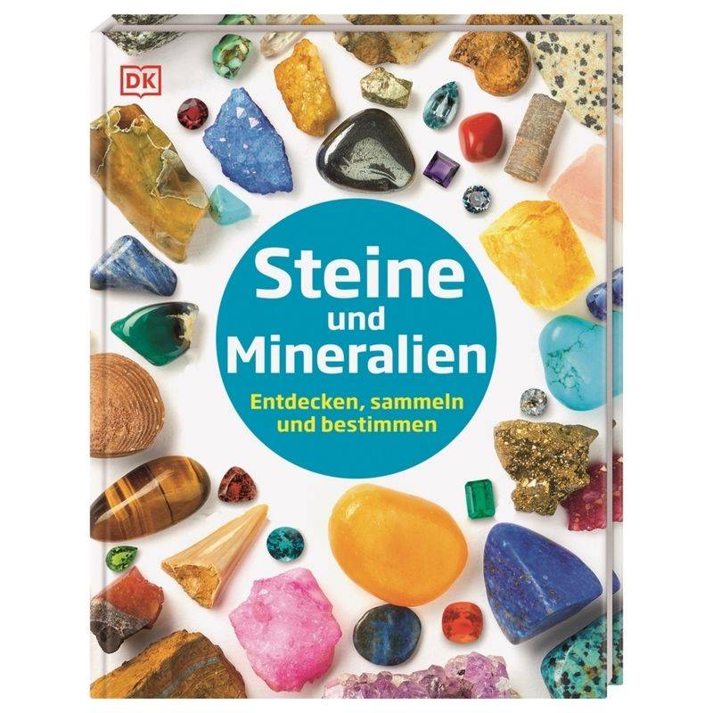 Steine und Mineralien von DORLING KINDERSLEY VERLAG