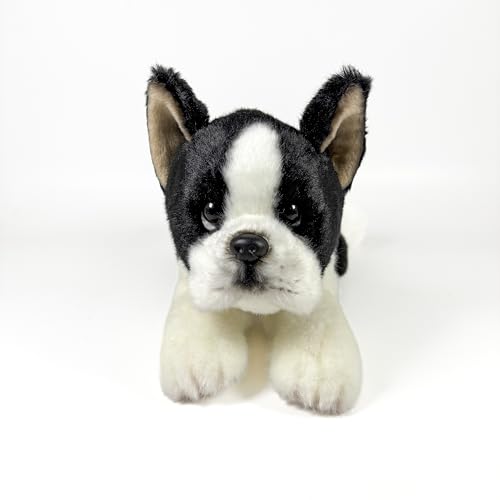Fundación Bocalan Plüschtier, Boston Terrier, liegend, 25 cm, ab 0 Monaten (DeQube 939D00292) von DQB DeQUBE