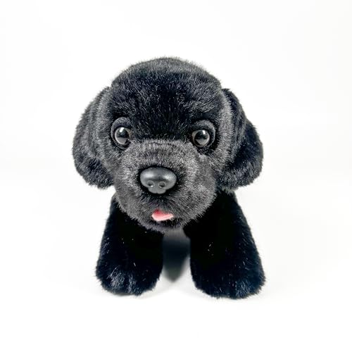 Fundación Bocalan Plüschtier, Labrador, Schwarz, 21 cm, mit Weste, + 0 Monate (DeQube 939D00249) von DQB DeQUBE