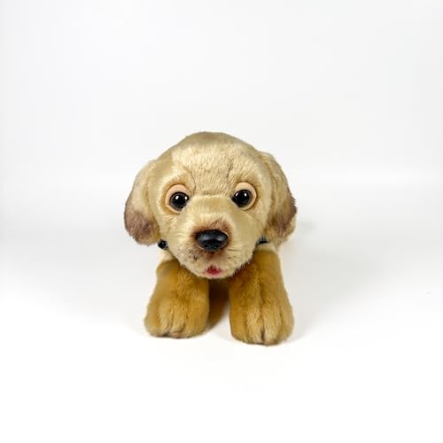 Fundación Bocalan Plüschtier, Labrador Zimt, 21 cm, mit Weste, + 0 Monate (DeQube 939D00247) von DQB DeQUBE