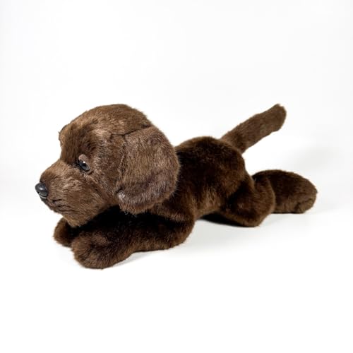 Fundación Bocalan Plüschtier, Motiv: Labrador, Schokolade, liegend, 25 cm, ab 0 Monaten (DeQube 939D00284) von DQB DeQUBE