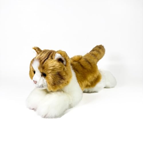 Fundación Bocalan Plüschtier, braune und weiße Katze, liegend, 25 cm – + 0 Monate (DeQube 939D00299) von DQB DeQUBE