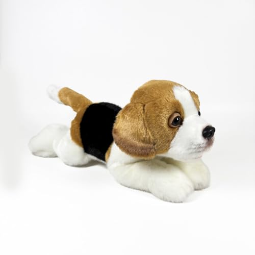Fundación Bocalan Plüschtier Beagle, liegend, 25 cm, ab 0 Monaten (DeQube 939D00289) von DQB DeQUBE