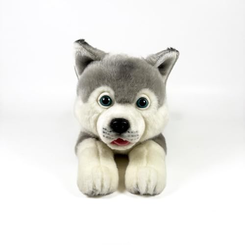 Fundación Bocalan Plüschtier Husky, liegend, 25 cm, ab 0 Monaten (DeQube 939D00295) von DQB DeQUBE