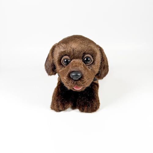 Fundación Bocalan Plüschtier Labrador Schokolade, 21 cm, mit Weste, + 0 Monate (DeQube 939D00248) von DQB DeQUBE